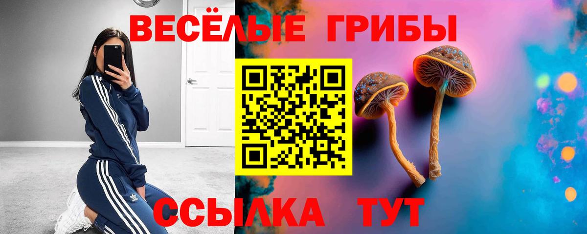 Галлюциногенные грибы Psilocybine cubensis Геленджик